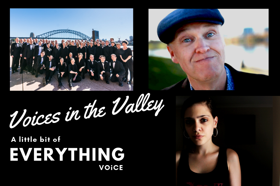 Voices in the Valley