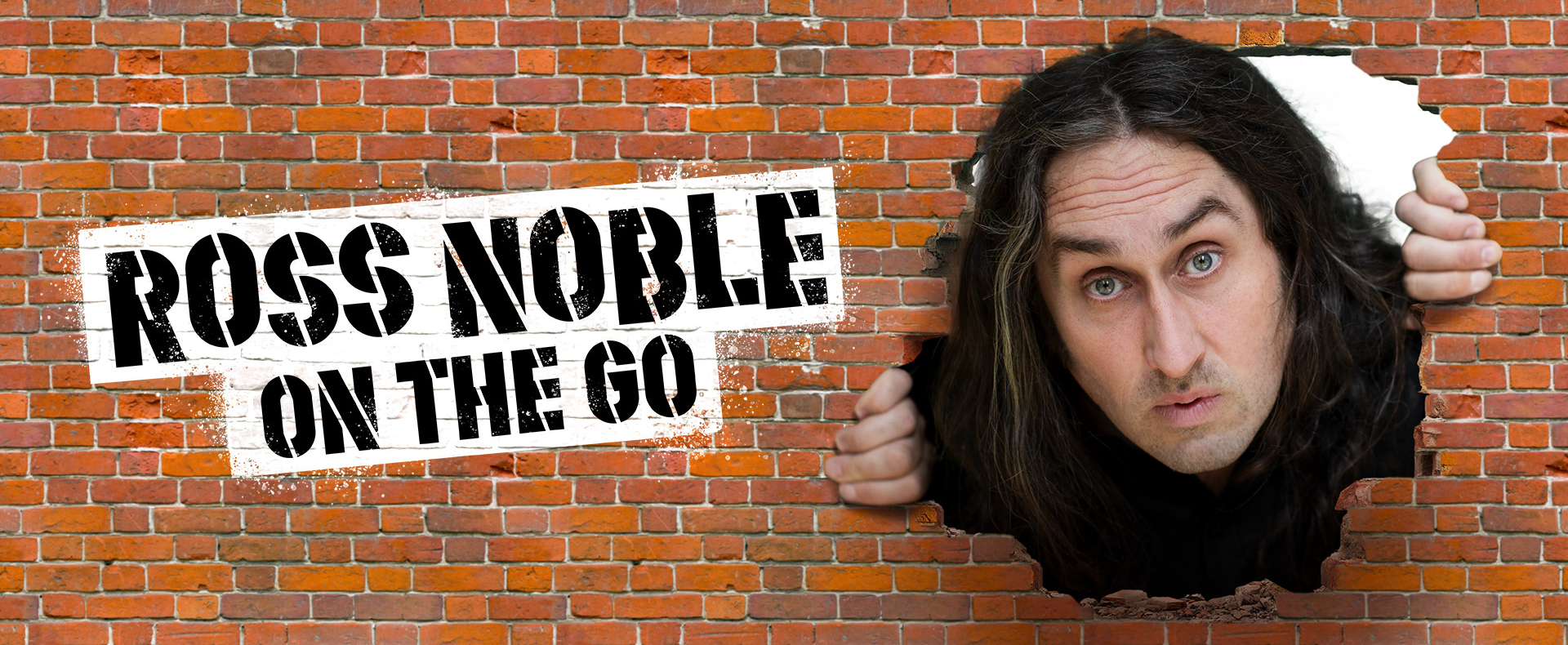 Ross Noble – On The Go