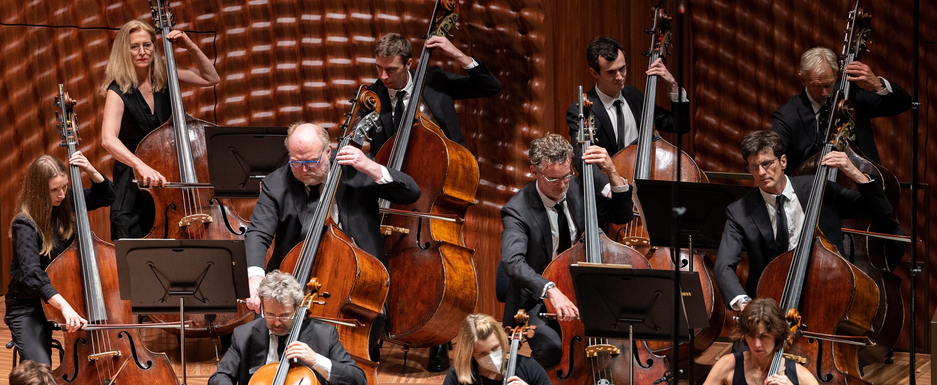 The Sydney Symphony <br> Performs Mozart