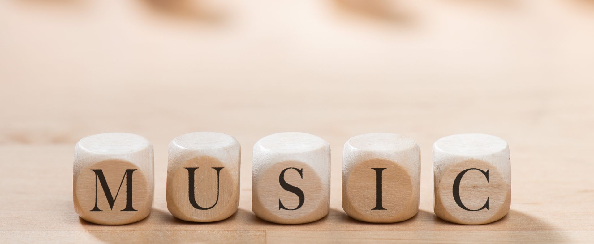 The Marriage between <br> Music and Words