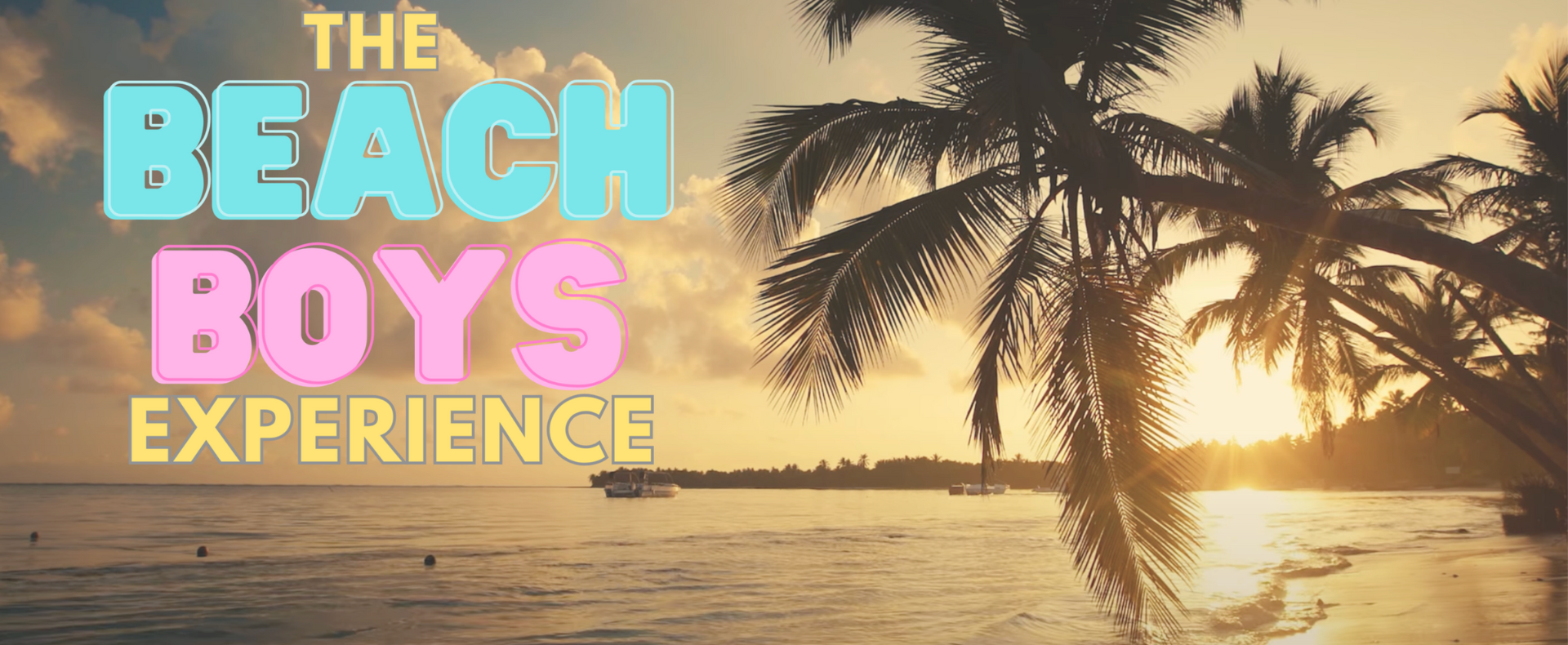 The Beach Boys Experience