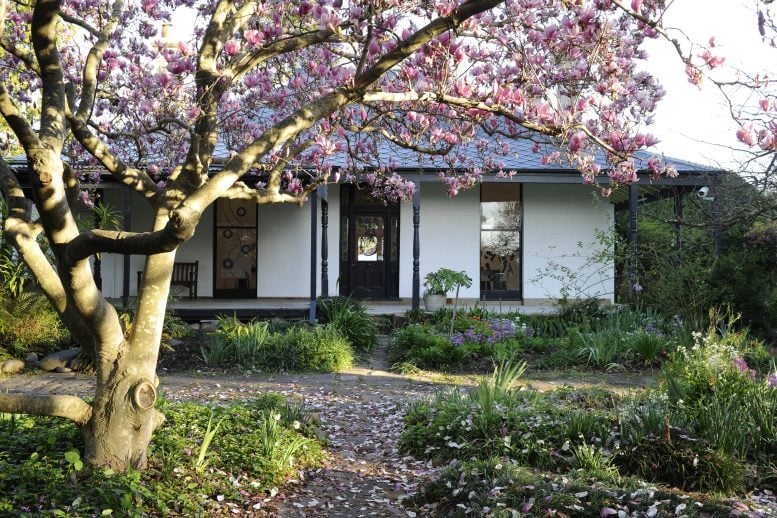 Highlight Image for Lewers: Penrith Regional Gallery